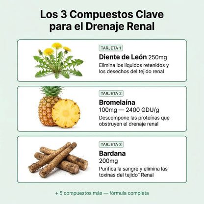 Drenaje Linfático Renal 8 en 1