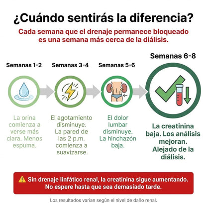 Drenaje Linfático Renal 8 en 1