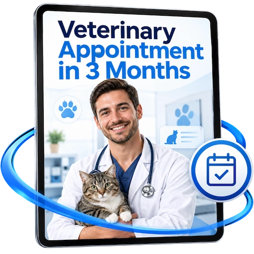 3 Months of Veterinary Support!