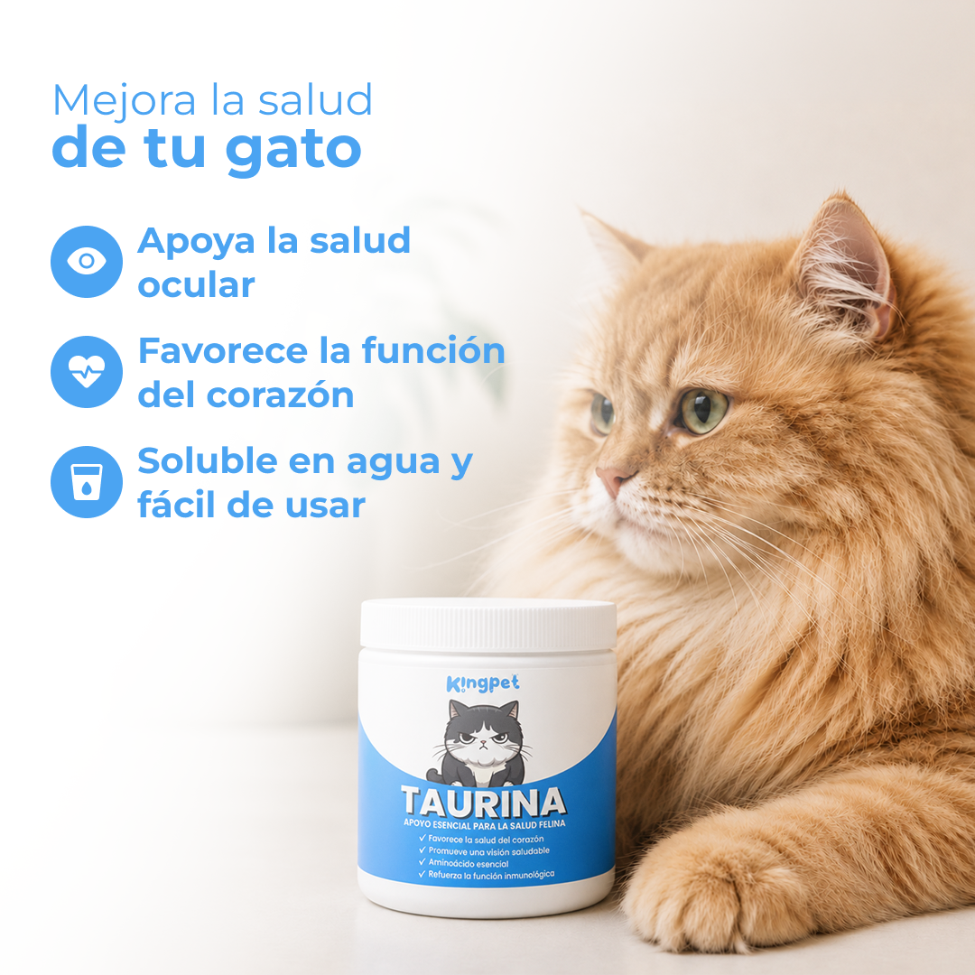 KingPet™ | Taurina pura en polvo para gatos