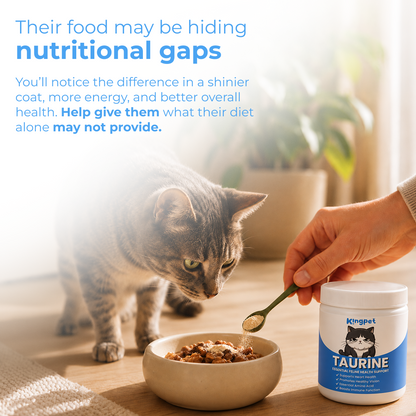 KingPet™ | Pure Taurine Powder for Cats