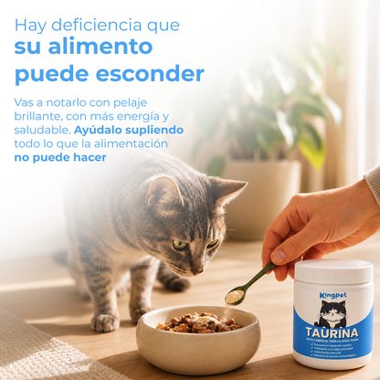 KingPet™ | Taurina pura en polvo para gatos
